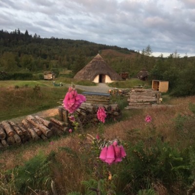 Celtic Roundhouse with Foxglove Flowers in foreground