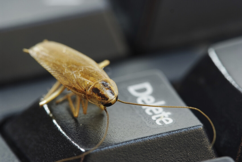 Cockroach-Enfield