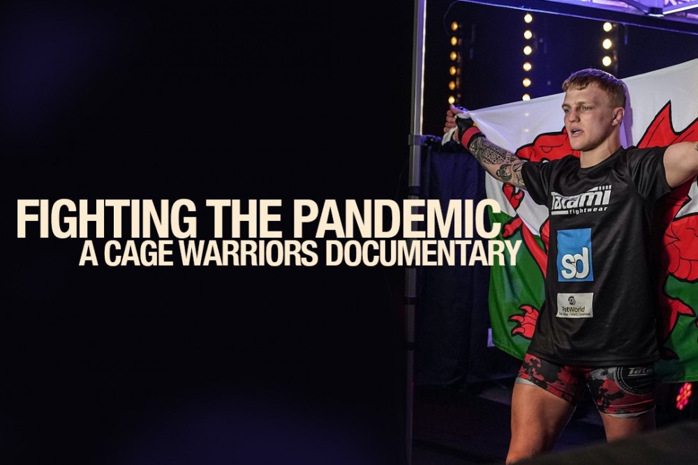 Fighting the Pandemic