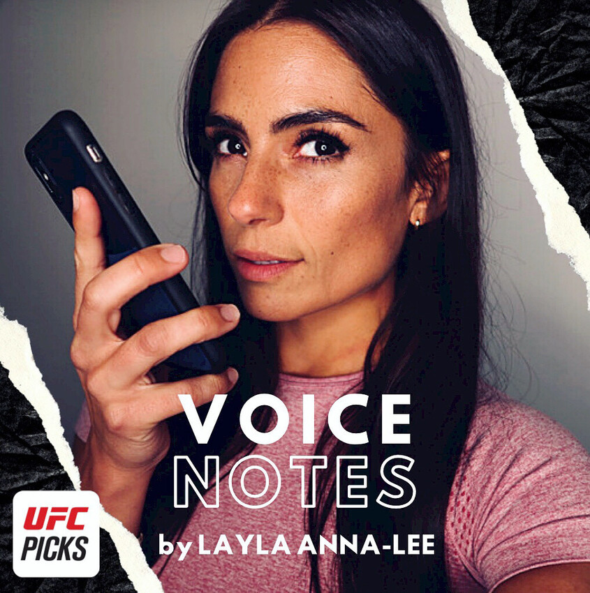Voice Notes