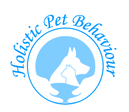 Puppy & Dog Classes
