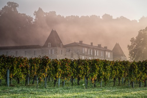 Château Lassègue - A Reborn Saint-Émilion Estate Comes of Age