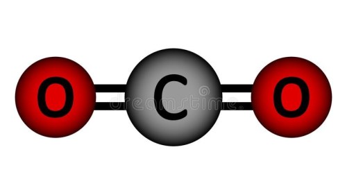NET ZERO CARBON