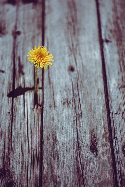 Love vs Attachment in Romantic Relationships – What’s the Difference?