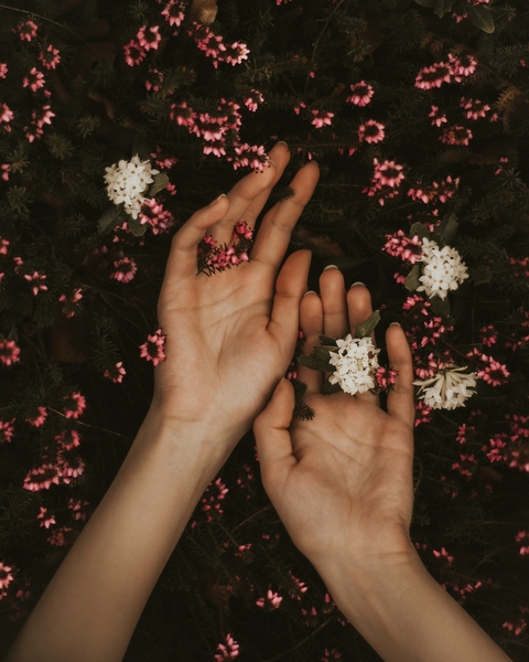Freedom has Two Hands