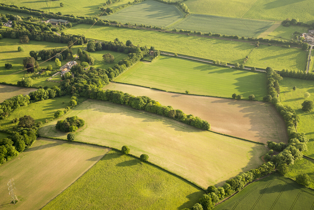 Land Banking Scams