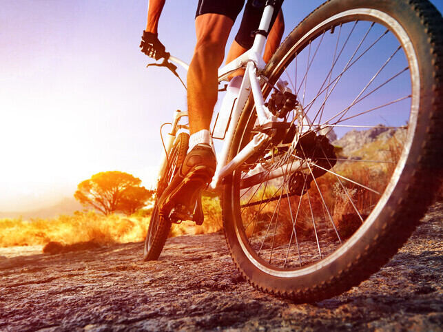 Sport Industry