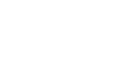 Private Mentoring Services