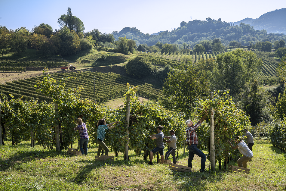 Asolo - Prosecco that Knows its Place