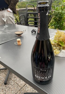 Asolo - Prosecco that Knows its Place