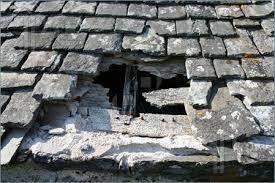 Building Survey