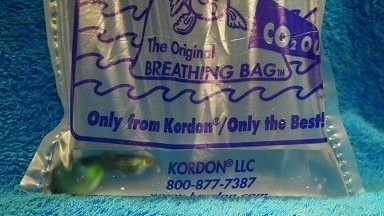 Kordon Breathing Bags