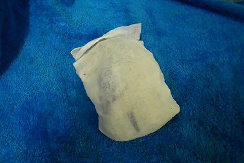 Kordon Breathing Bags