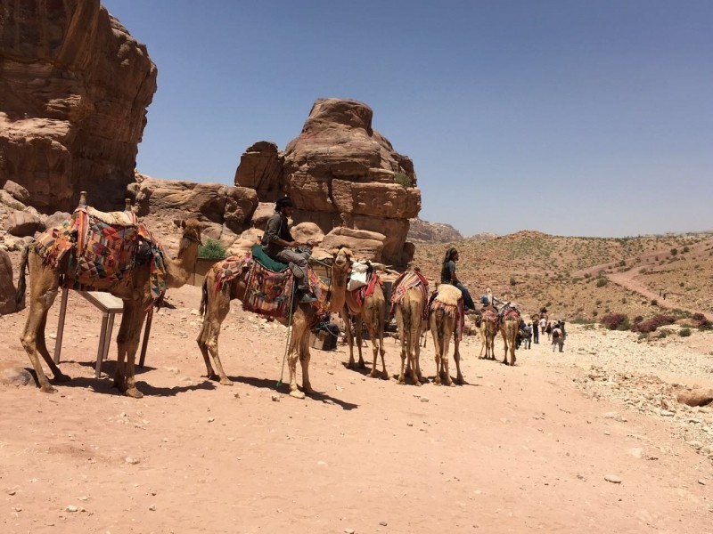 Trips, tours & transportation