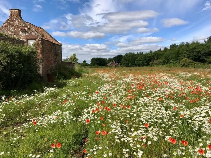 Luxury Self Catering Fife, Excellent Location for Touring Scotland, Quiet Rural Location