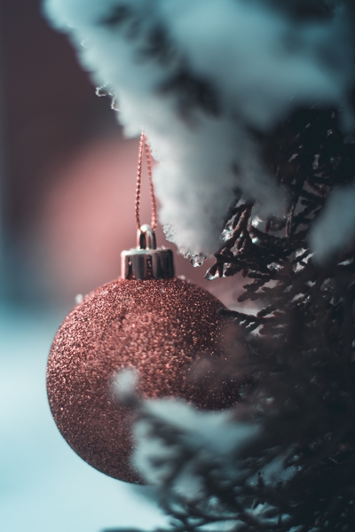 Make Christmas Stress-Free with New Forest Designs