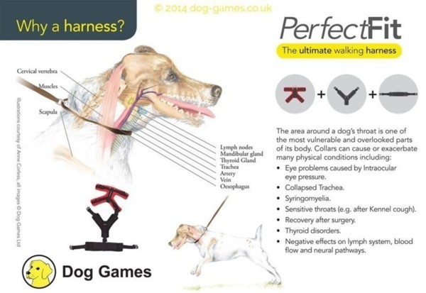 Perfect Fit Harnesses