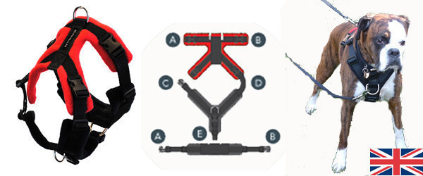 Perfect Fit Harnesses